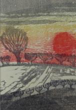 Winter Hedgerows