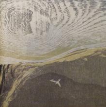 Soar